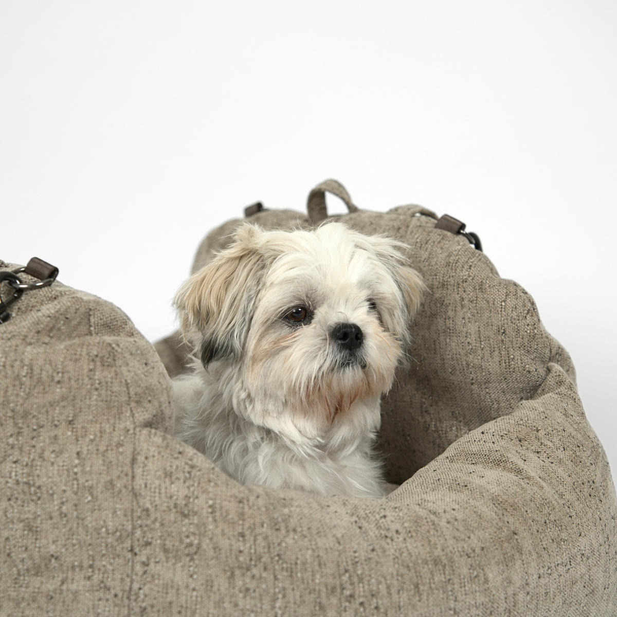 Siège auto 2-en-1 pour chien Tova | Sand