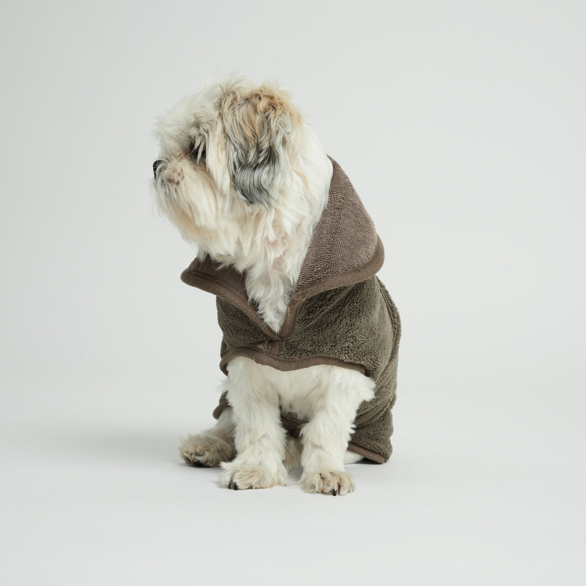 Small dog wearing a brown towel robe on a light gray background