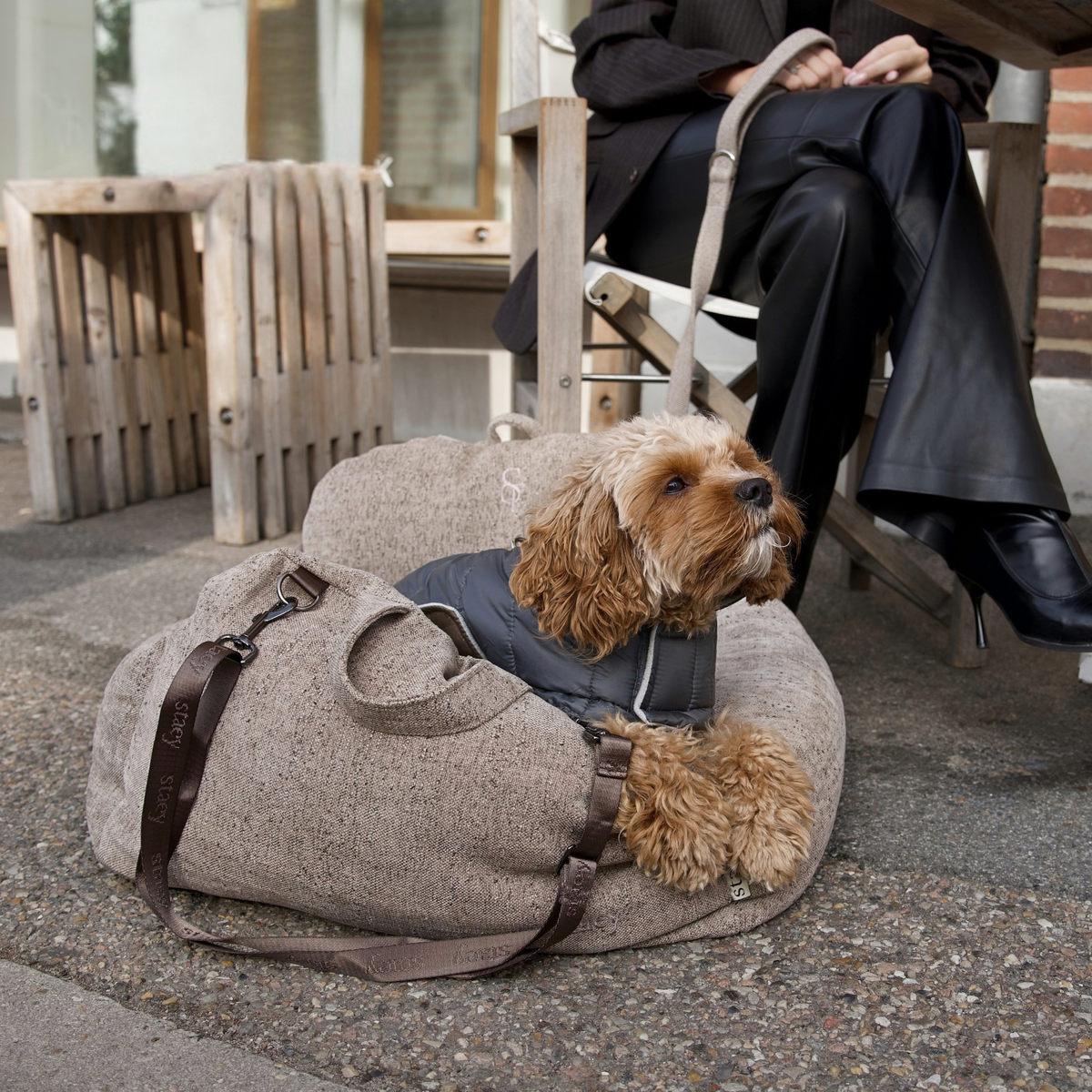 Siège auto 2-en-1 pour chien Tova | Sand