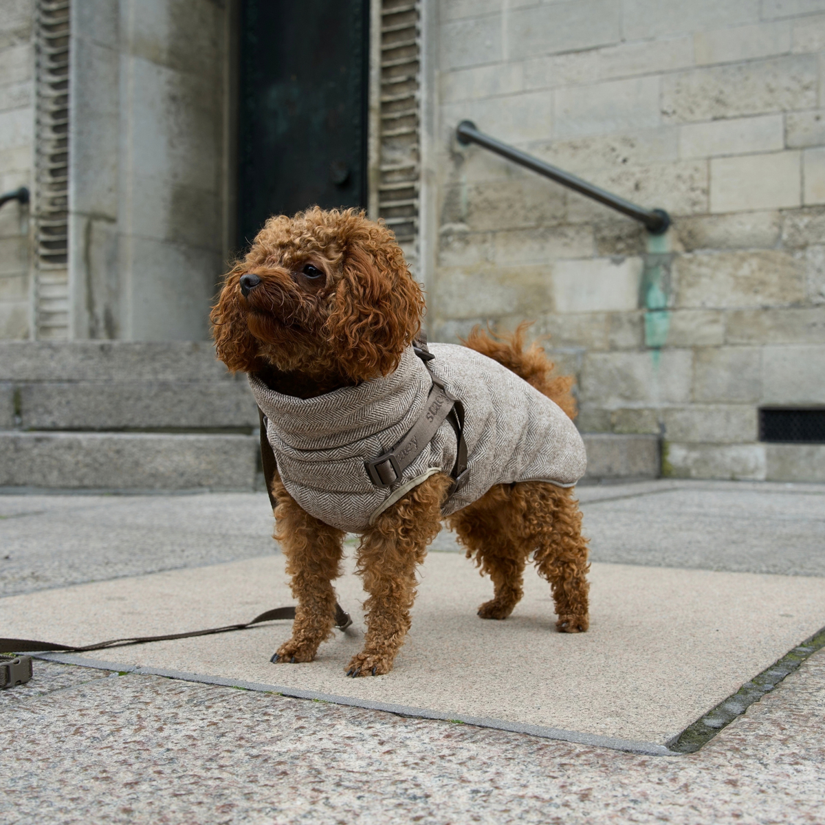 Vera Dog Coat w. Harness | Herringbone Mocca